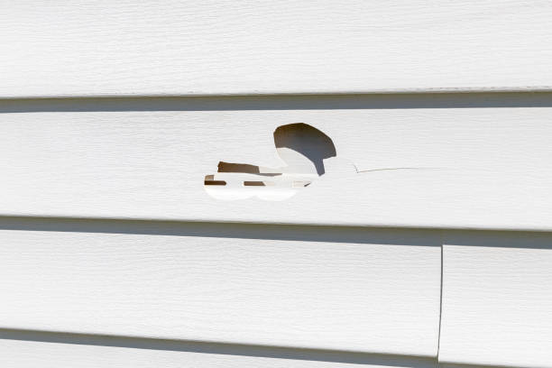 Best Siding Maintenance  in USA